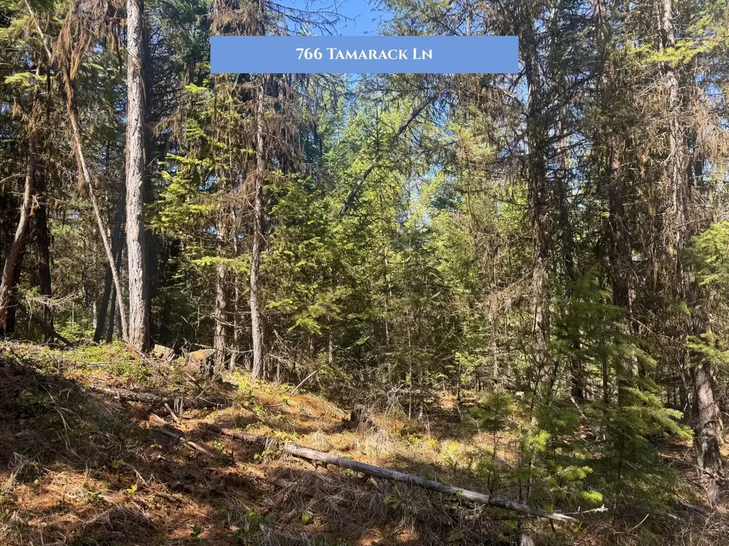766 And 854 Tamarack Lane Rexford MT 59930