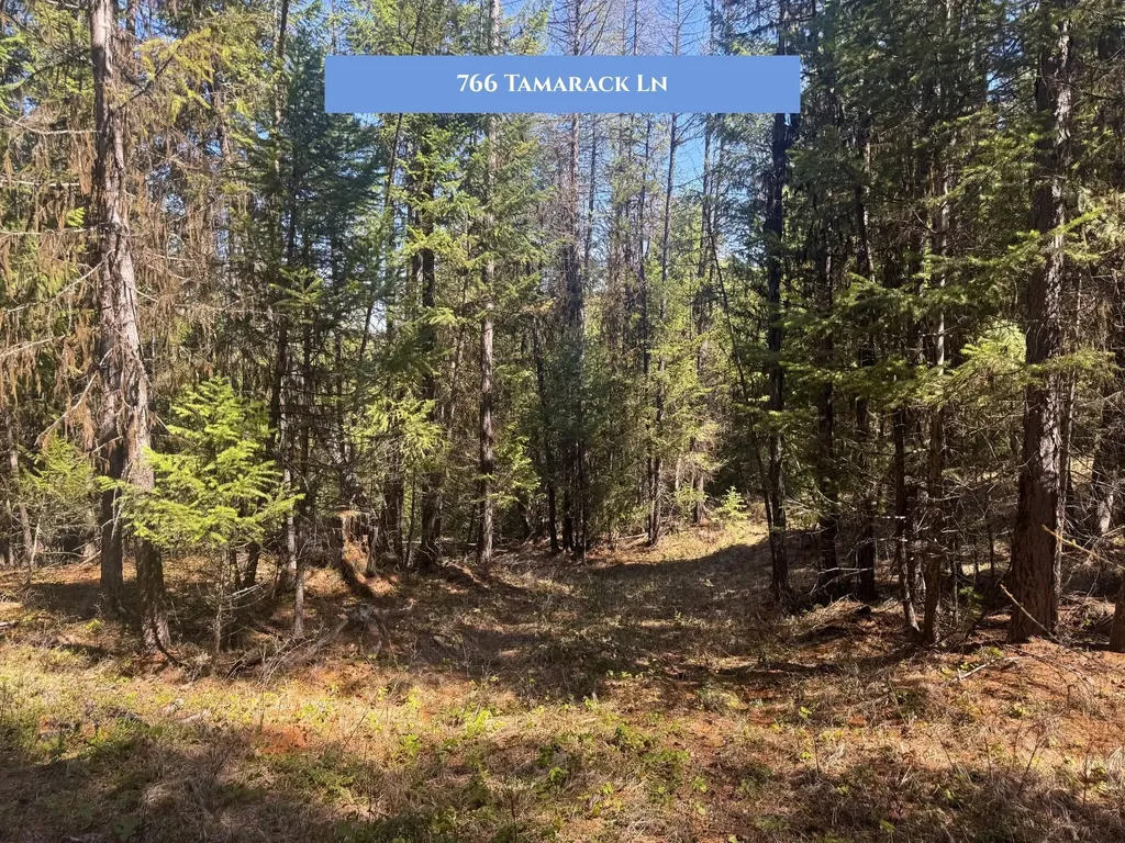 766 And 854 Tamarack Lane Rexford MT 59930