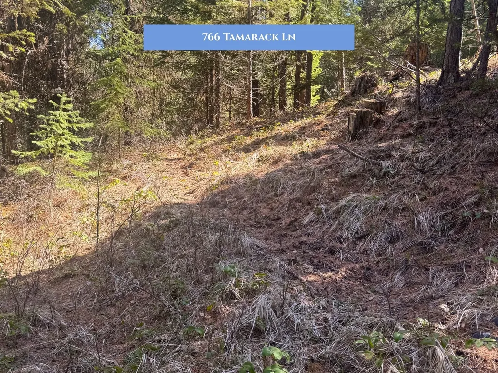 766 And 854 Tamarack Lane Rexford MT 59930