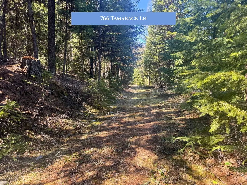 766 And 854 Tamarack Lane Rexford MT 59930