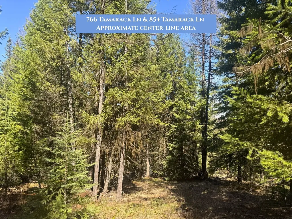 766 And 854 Tamarack Lane Rexford MT 59930