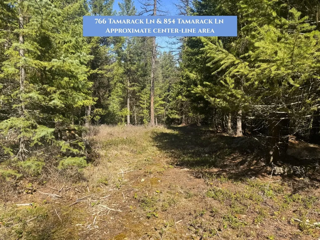 766 And 854 Tamarack Lane Rexford MT 59930