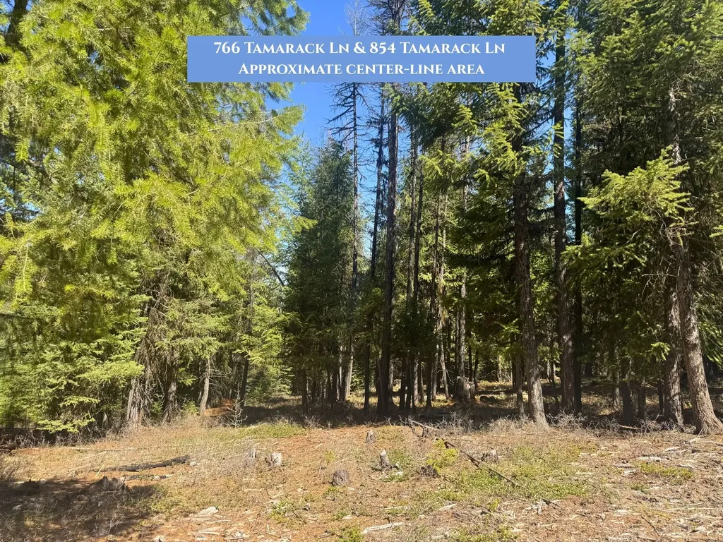 766 And 854 Tamarack Lane Rexford MT 59930