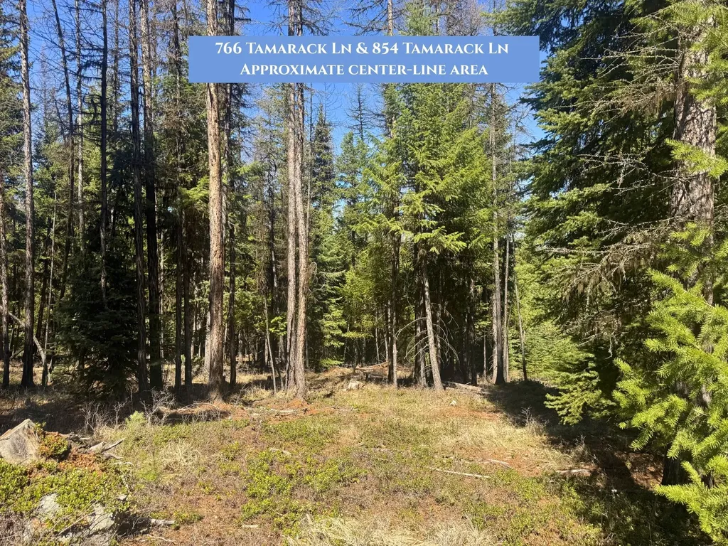 766 And 854 Tamarack Lane Rexford MT 59930