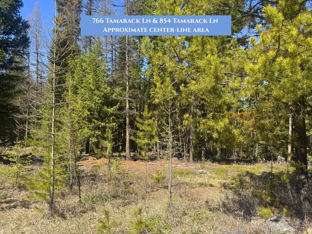766 And 854 Tamarack Lane Rexford MT 59930