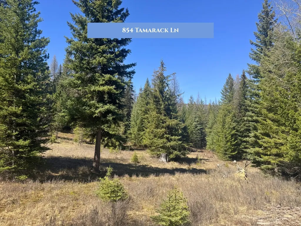 766 And 854 Tamarack Lane Rexford MT 59930