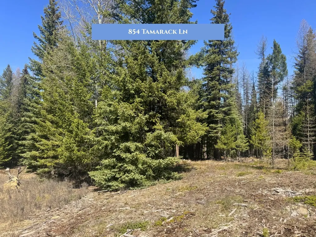 766 And 854 Tamarack Lane Rexford MT 59930