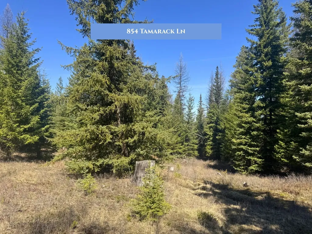 766 And 854 Tamarack Lane Rexford MT 59930