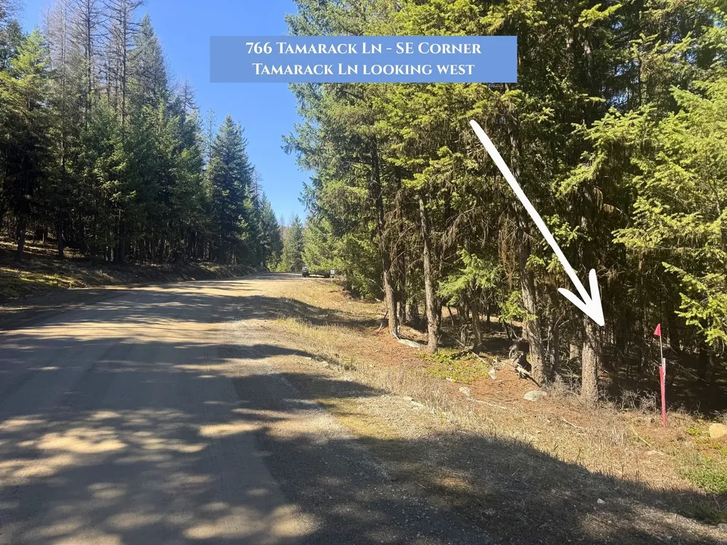 766 And 854 Tamarack Lane Rexford MT 59930