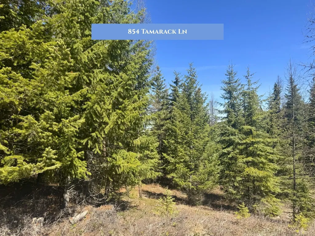 766 And 854 Tamarack Lane Rexford MT 59930