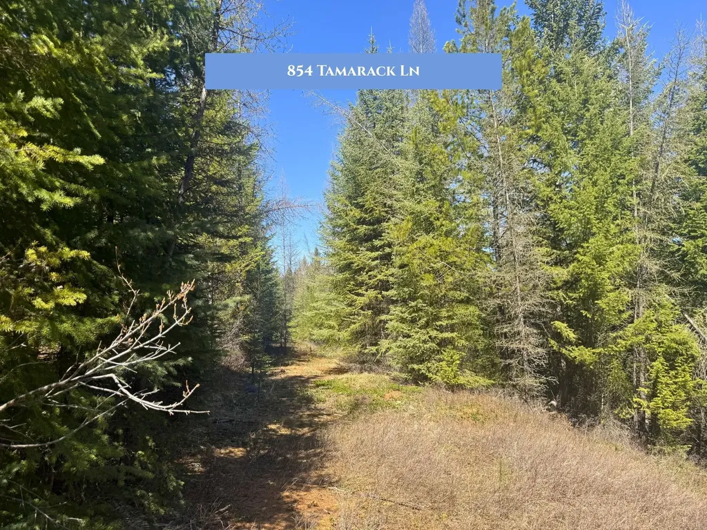 766 And 854 Tamarack Lane Rexford MT 59930