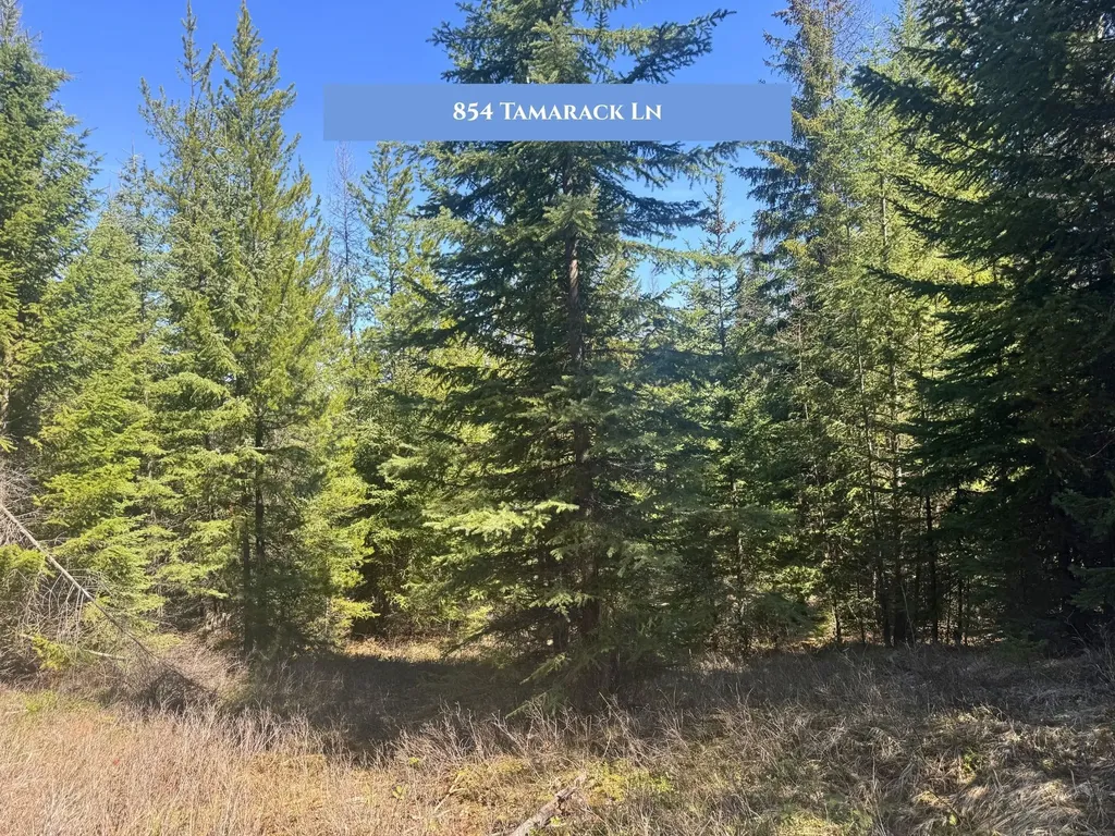 766 And 854 Tamarack Lane Rexford MT 59930