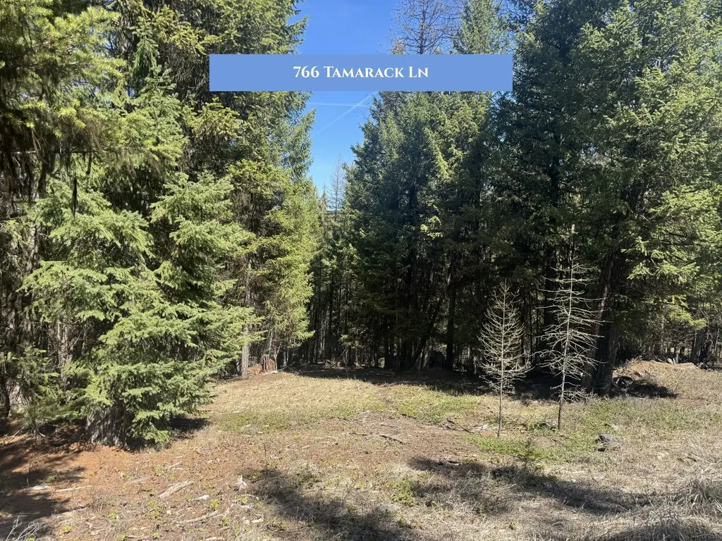 766 And 854 Tamarack Lane Rexford MT 59930