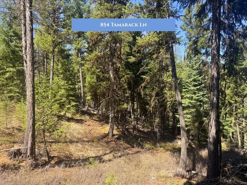 766 And 854 Tamarack Lane Rexford MT 59930