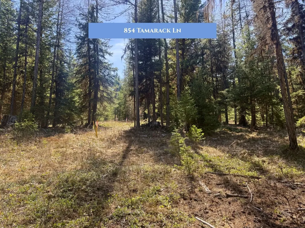 766 And 854 Tamarack Lane Rexford MT 59930