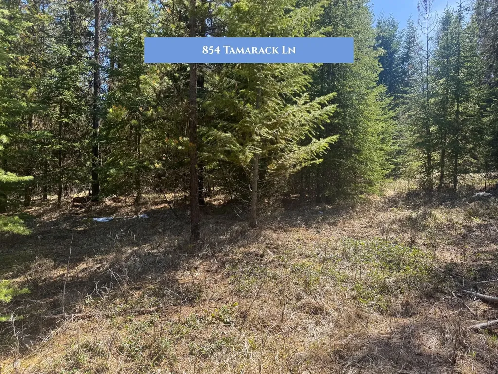 766 And 854 Tamarack Lane Rexford MT 59930