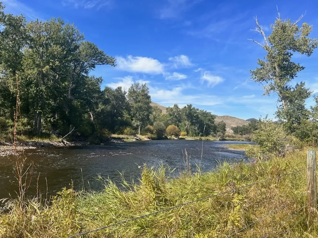 263 W Bovine Way Melrose MT 59743