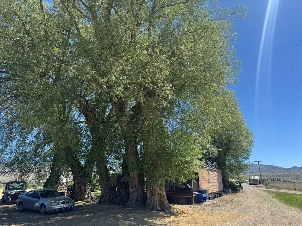 263 W Bovine Way Melrose MT 59743