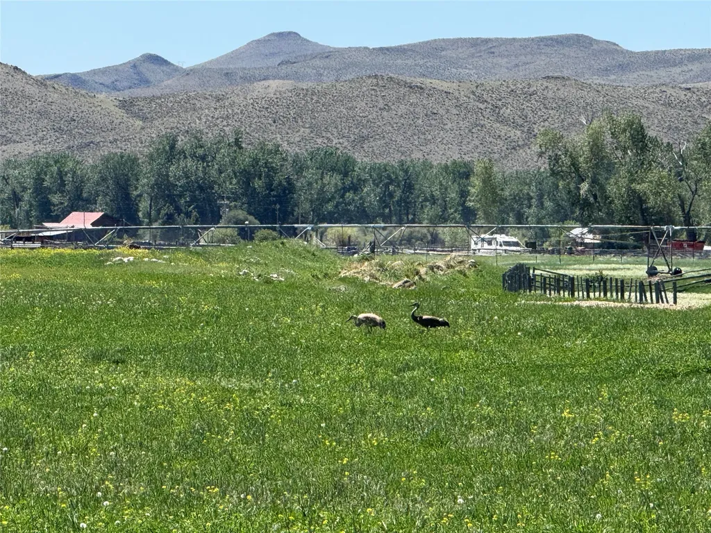 263 W Bovine Way Melrose MT 59743