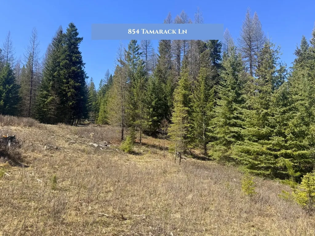 854 Tamarack Lane Rexford MT 59930