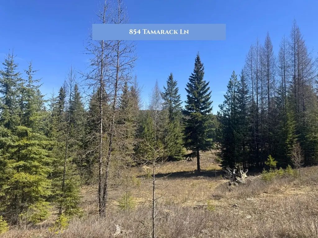 854 Tamarack Lane Rexford MT 59930