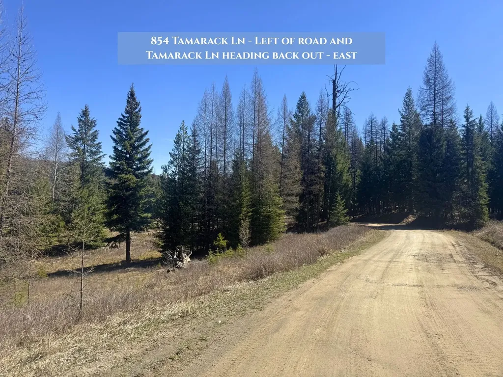 854 Tamarack Lane Rexford MT 59930