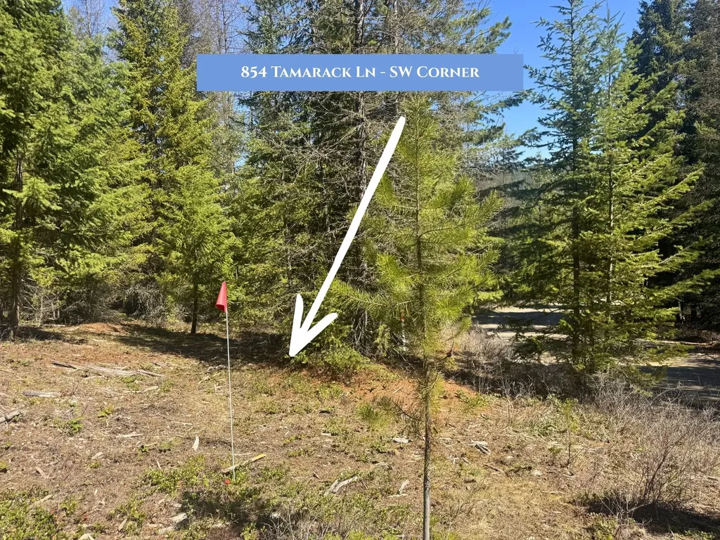 854 Tamarack Lane Rexford MT 59930