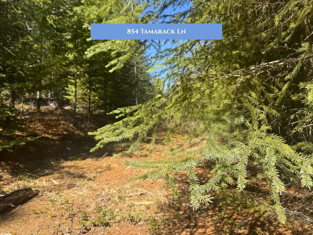 854 Tamarack Lane Rexford MT 59930