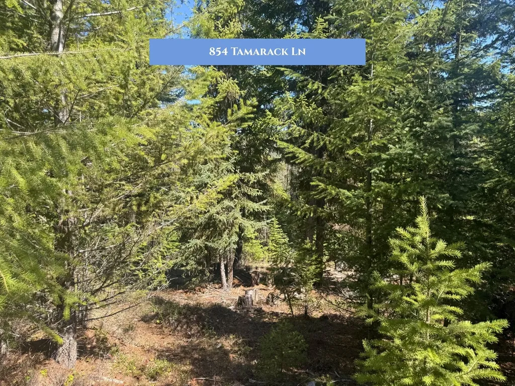 854 Tamarack Lane Rexford MT 59930