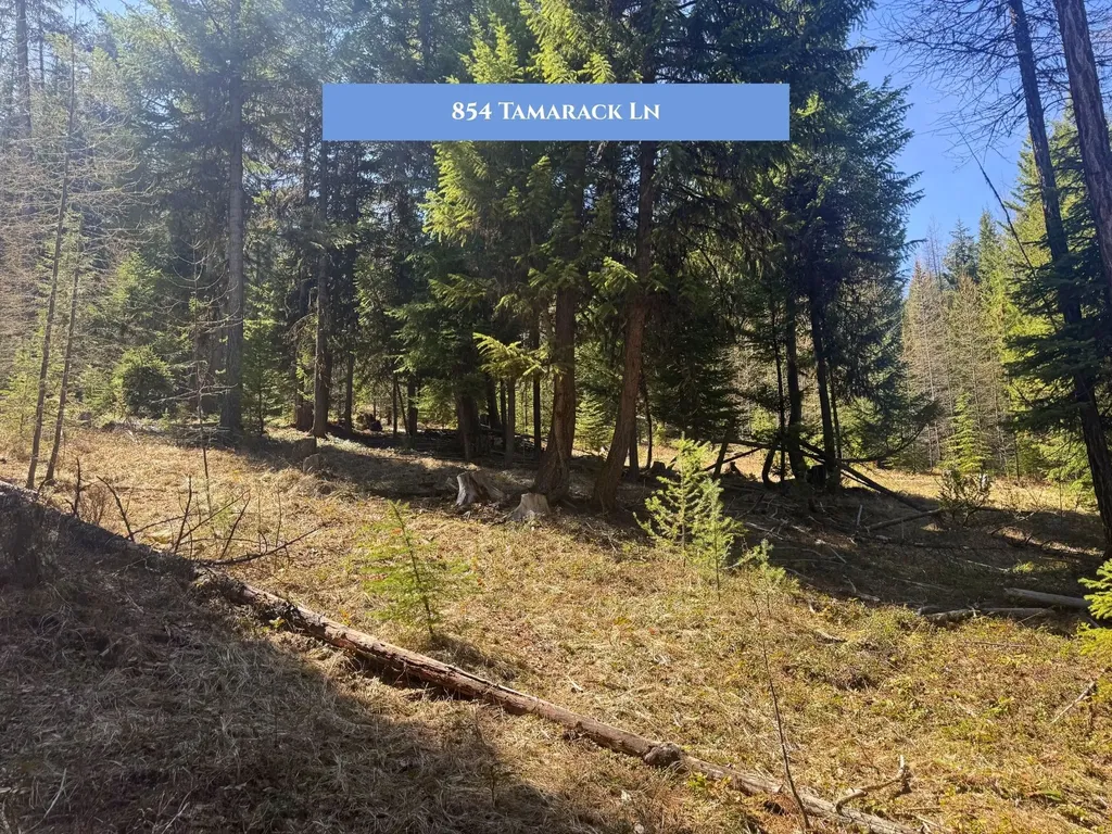 854 Tamarack Lane Rexford MT 59930