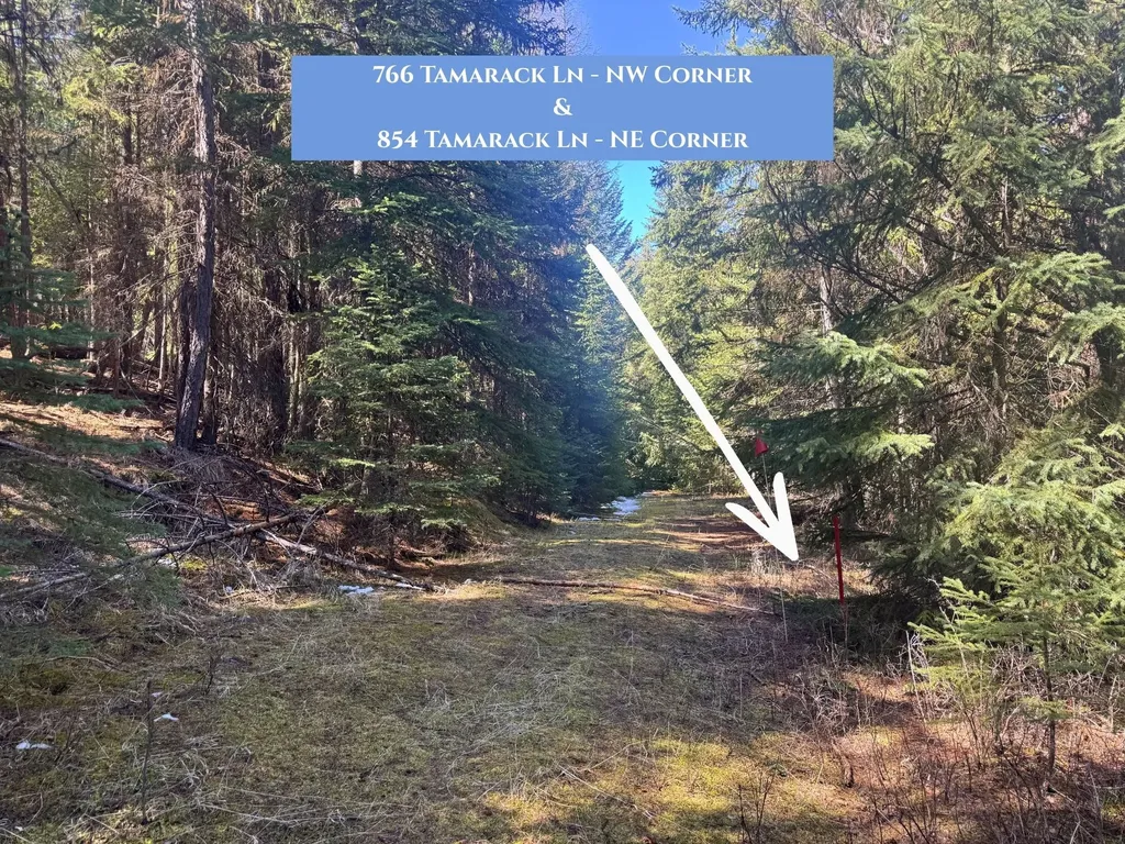 854 Tamarack Lane Rexford MT 59930