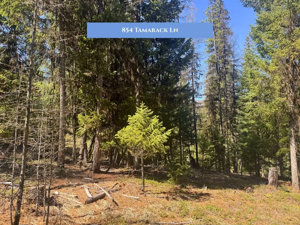 854 Tamarack Lane Rexford MT 59930