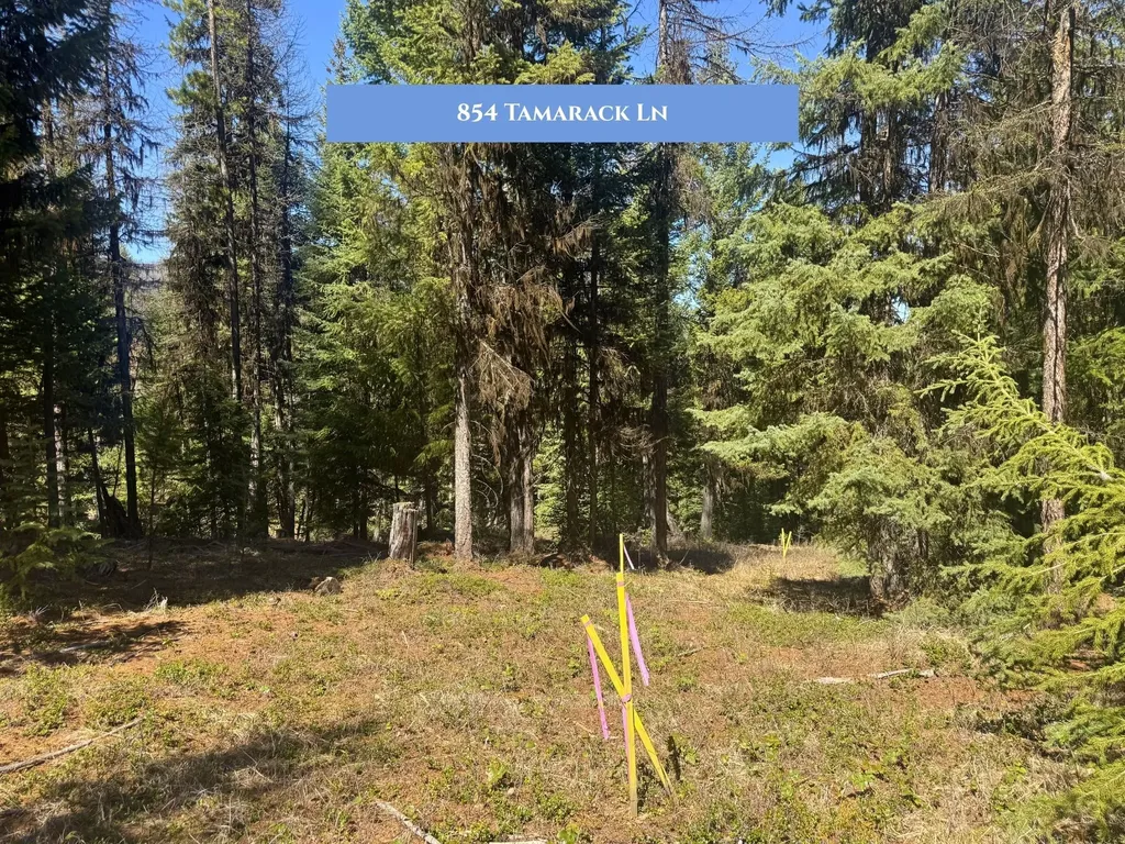 854 Tamarack Lane Rexford MT 59930