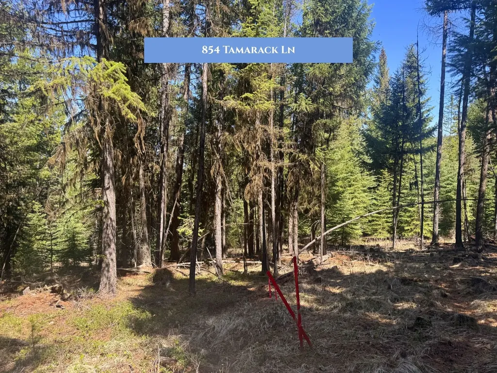854 Tamarack Lane Rexford MT 59930