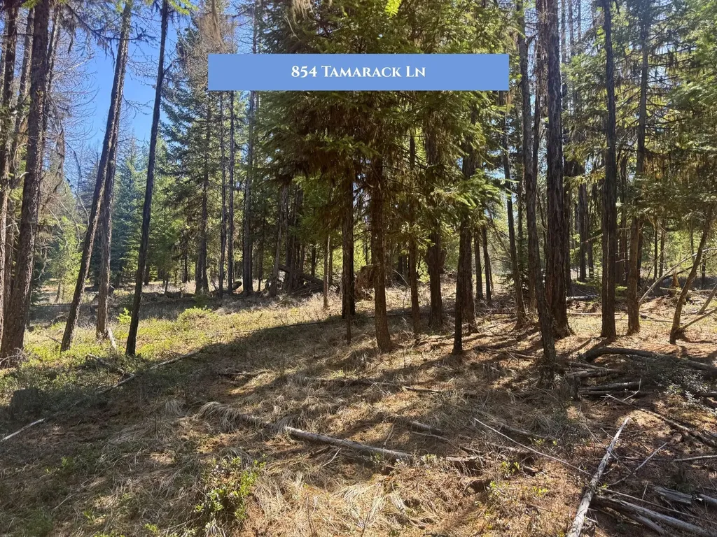 854 Tamarack Lane Rexford MT 59930