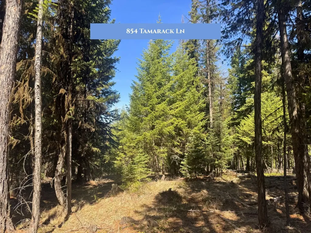 854 Tamarack Lane Rexford MT 59930