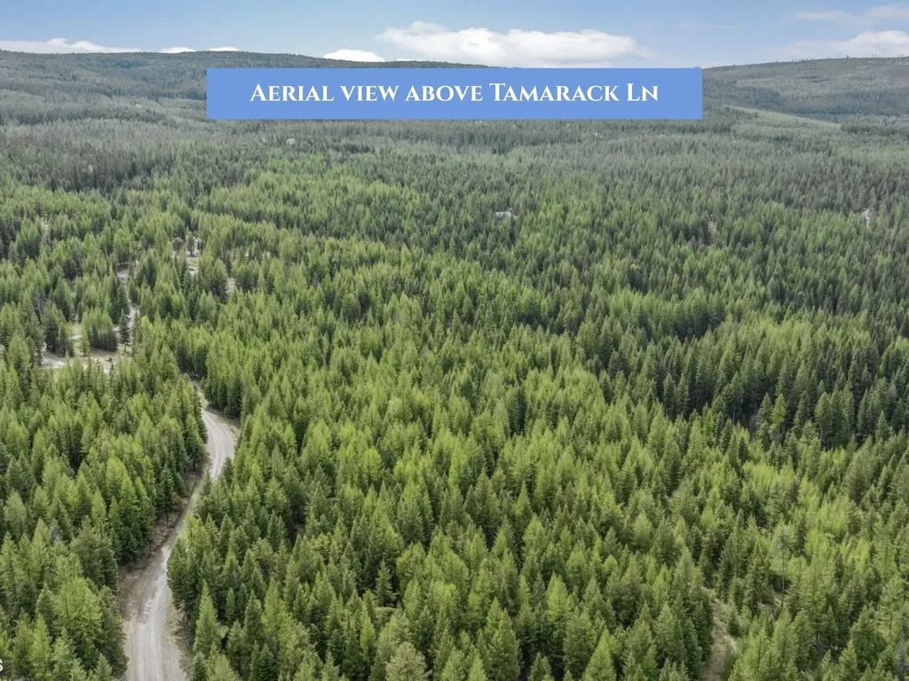 854 Tamarack Lane Rexford MT 59930