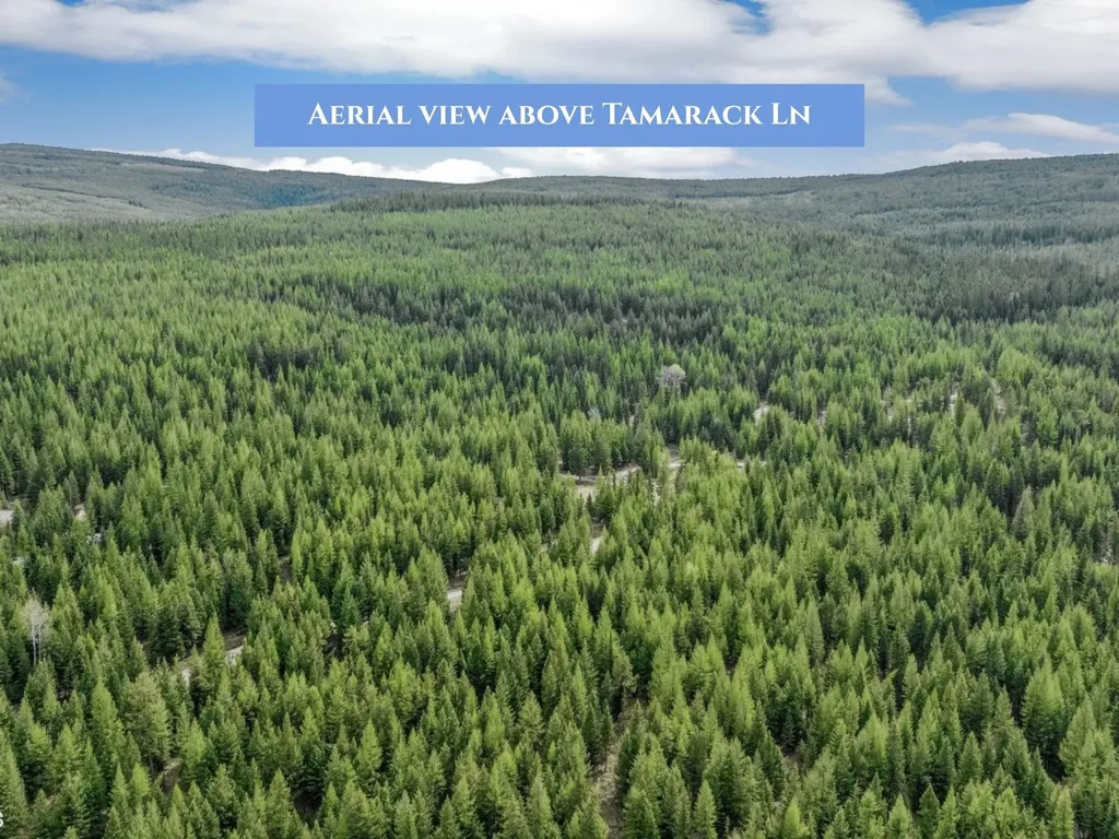854 Tamarack Lane Rexford MT 59930