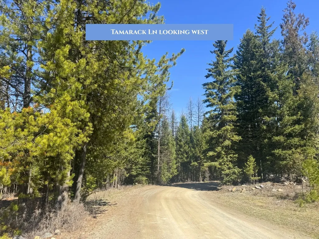 854 Tamarack Lane Rexford MT 59930