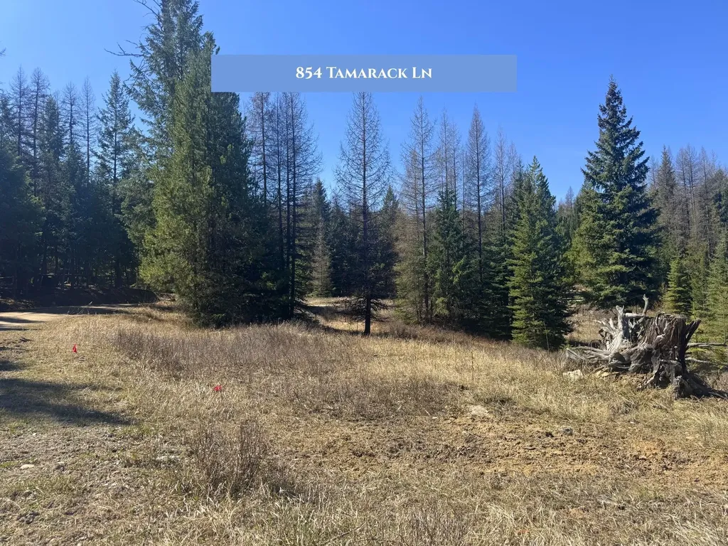 854 Tamarack Lane Rexford MT 59930