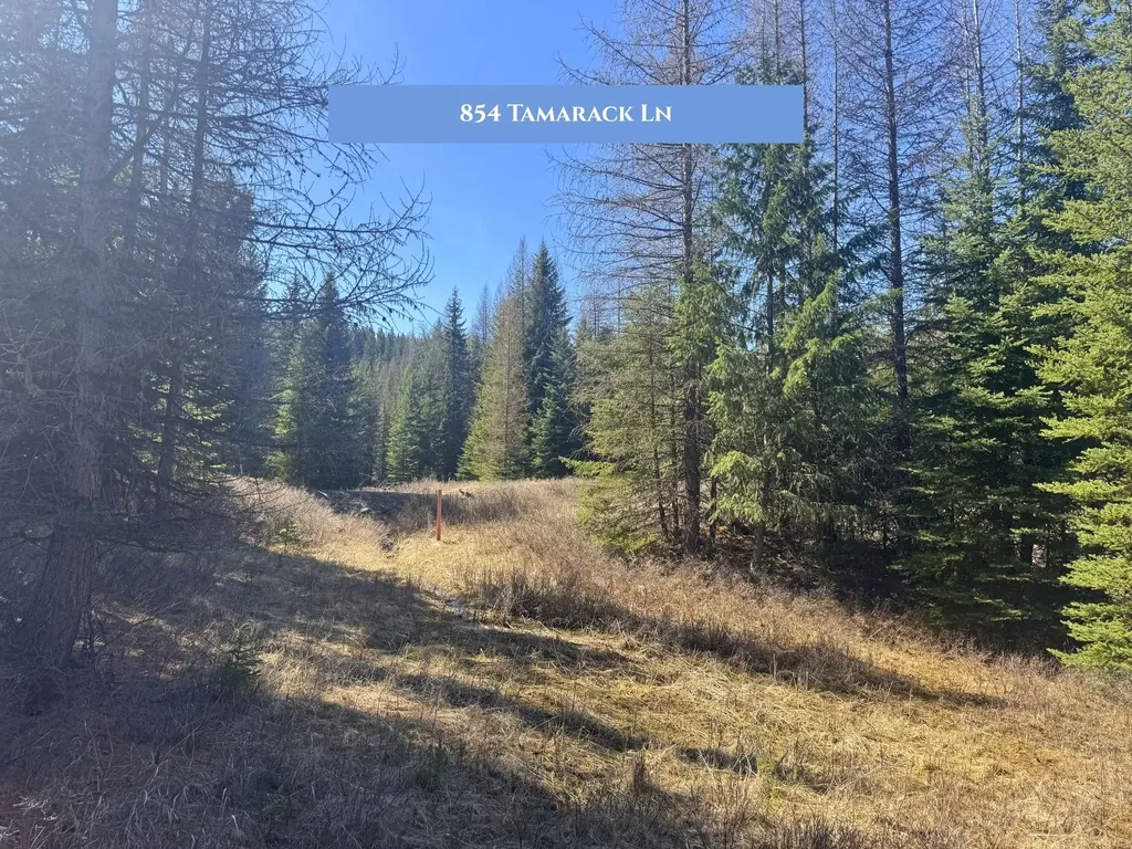 854 Tamarack Lane Rexford MT 59930