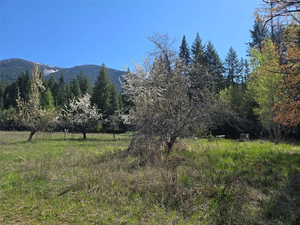 8 Dead Horse Lane Heron MT 59844