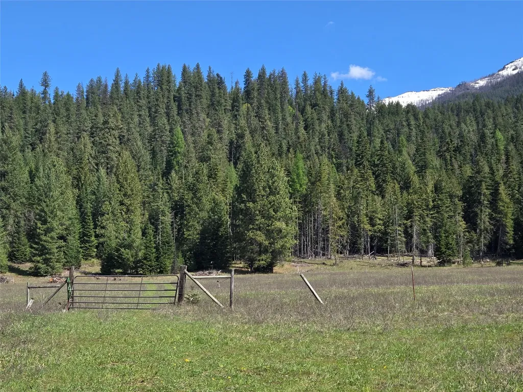 8 Dead Horse Lane Heron MT 59844