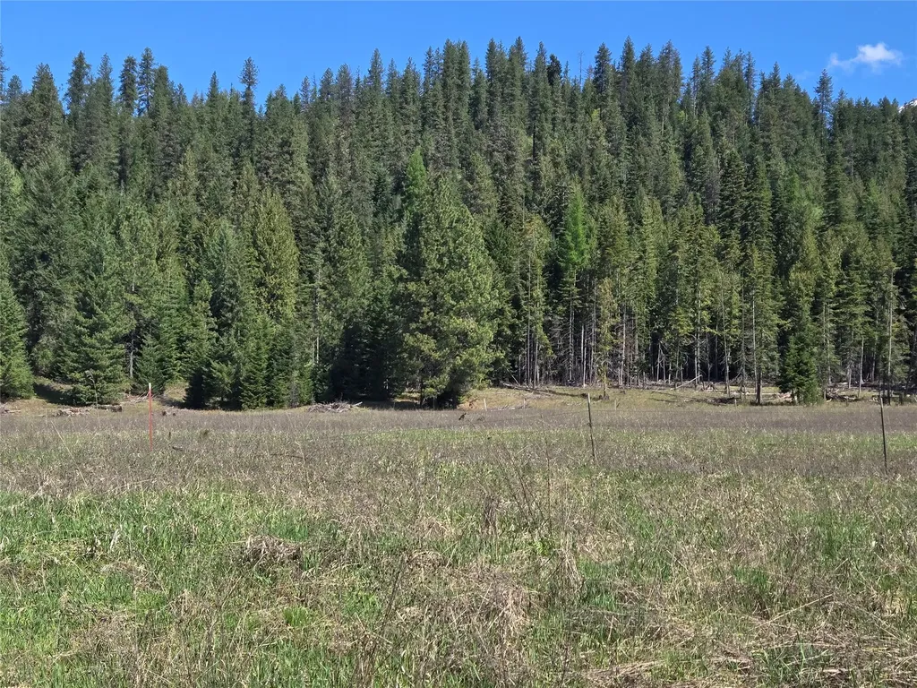 8 Dead Horse Lane Heron MT 59844