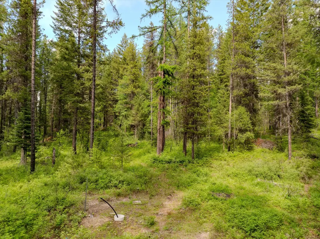 540 Seville Lane Coram MT 59913