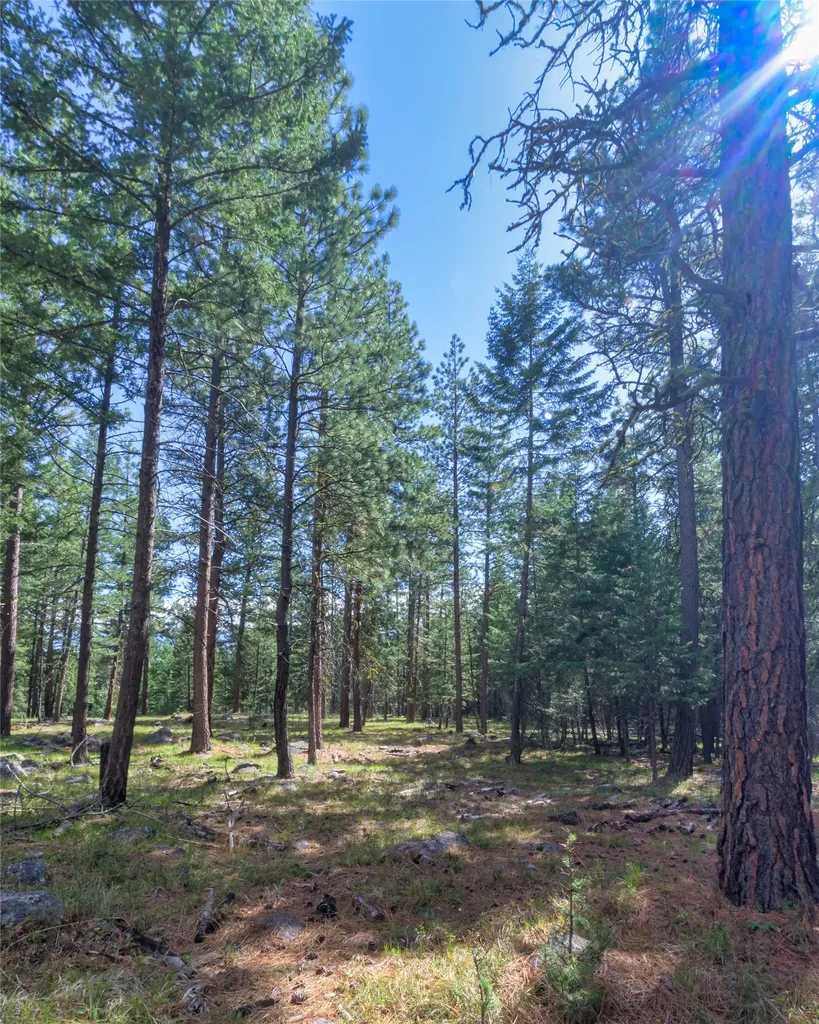 437 Redtail Hawk Lane Stevensville MT 59870