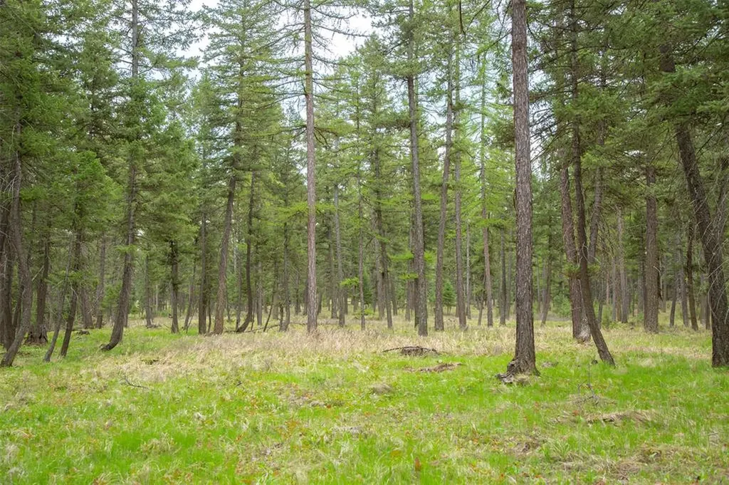 Nhn Bowdish Road Kalispell MT 59901