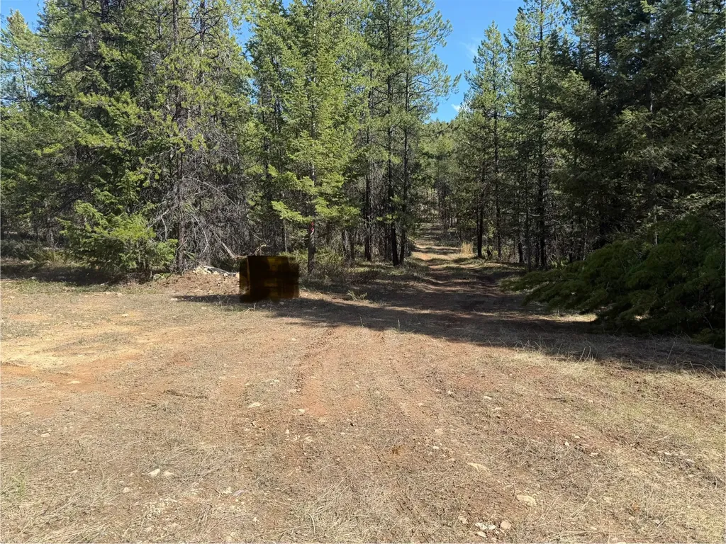 Nhn Iron Horse Road Trego MT 59934