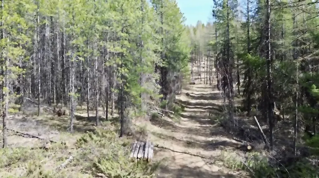 Nhn Iron Horse Road Trego MT 59934