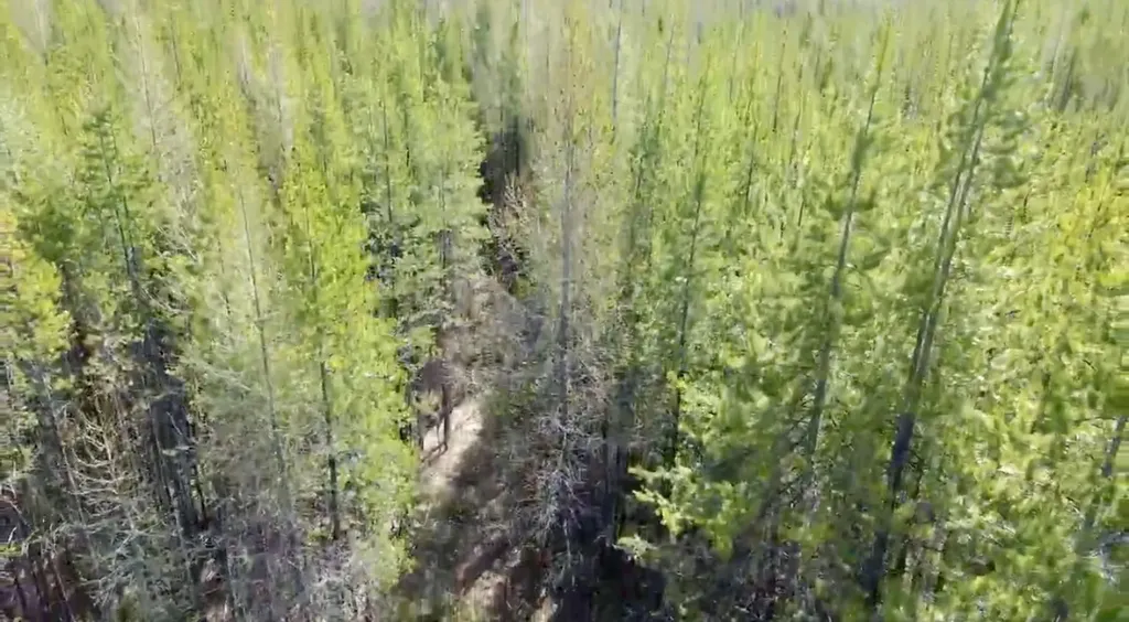 Nhn Iron Horse Road Trego MT 59934